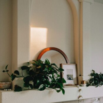 Het belang van planten in je woning